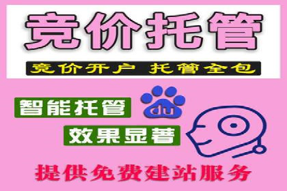 百度推广操作指南：新手快速入门案例